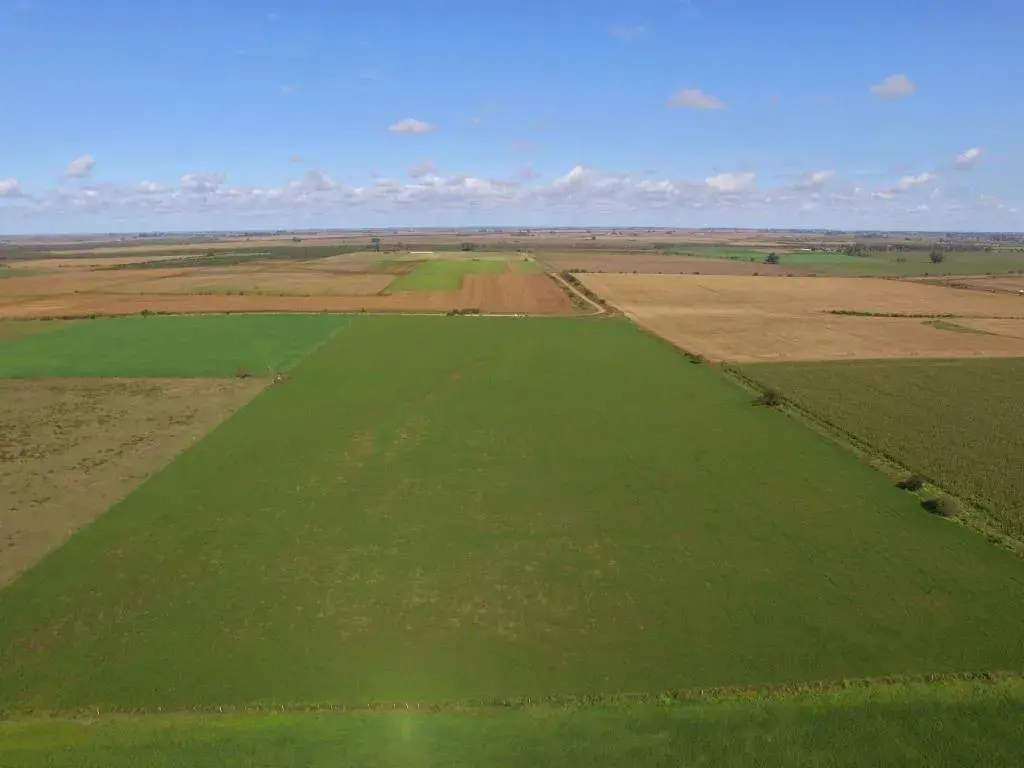 12 hectáreas agrícolas en Aldea San Antonio – Gualeguaychú