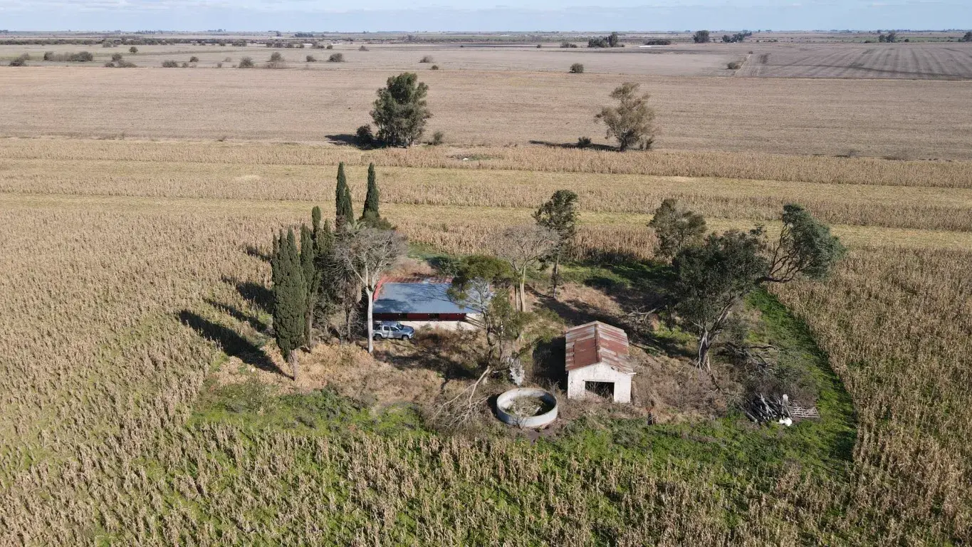 40 hectáreas agrícolas en Larroque