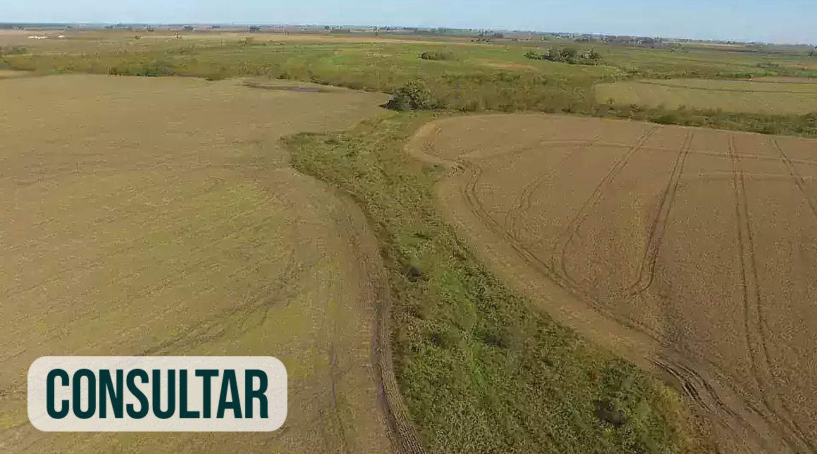 Campo de 500 hectáreas agrícolas en San Salvador, Entre Rios.