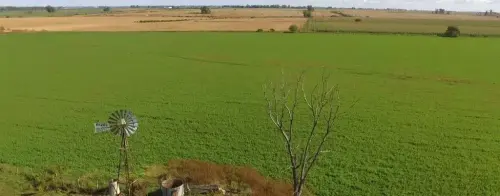 12 hectáreas agrícolas en Aldea San Antonio, Gualeguaychú-Santiago Badaracco Propiedades-Campos (7)