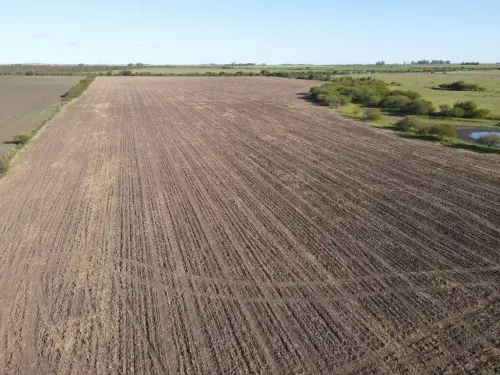 20 hectáreas agrícolas sobre RN 14 - Perdices - campo en venta - Gualeguaychu - Santiago Badaraccco Propiedades - Campos agricolas (2)