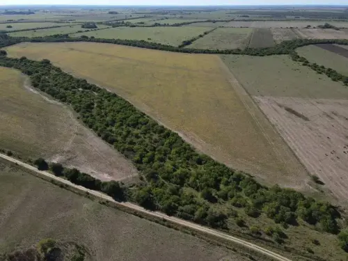 25 hectáreas agrícolas en Talita, Larroque-santiago badaracco propiedades (3)