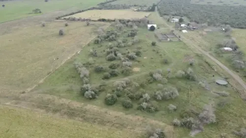 30 hectareas en lucas sur - santiago badaracco campos (31)