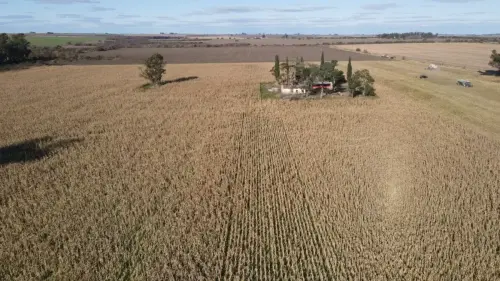 40 hectareas agricolas en larroque - santiago badaraco propiedades - venta de campos en entre rios (1)