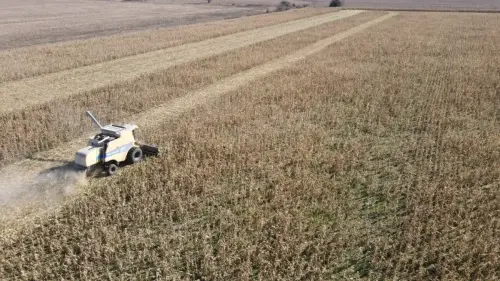 40 hectareas agricolas en larroque - santiago badaraco propiedades - venta de campos en entre rios (10)