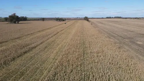 40 hectareas agricolas en larroque - santiago badaraco propiedades - venta de campos en entre rios (11)