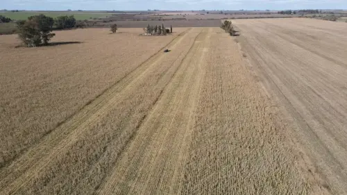 40 hectareas agricolas en larroque - santiago badaraco propiedades - venta de campos en entre rios (12)