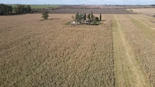 40 hectareas agricolas en larroque - santiago badaraco propiedades - venta de campos en entre rios (13)