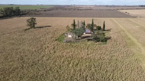 40 hectareas agricolas en larroque - santiago badaraco propiedades - venta de campos en entre rios (14)