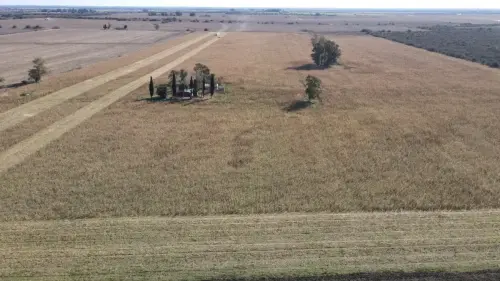 40 hectareas agricolas en larroque - santiago badaraco propiedades - venta de campos en entre rios (15)