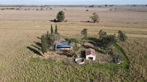 40 hectareas agricolas en larroque - santiago badaraco propiedades - venta de campos en entre rios (16)