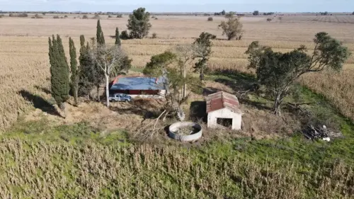 40 hectareas agricolas en larroque - santiago badaraco propiedades - venta de campos en entre rios (17)