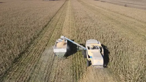 40 hectareas agricolas en larroque - santiago badaraco propiedades - venta de campos en entre rios (18)