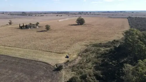 40 hectareas agricolas en larroque - santiago badaraco propiedades - venta de campos en entre rios (2)