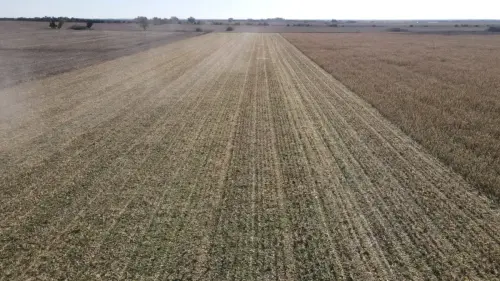 40 hectareas agricolas en larroque - santiago badaraco propiedades - venta de campos en entre rios (20)