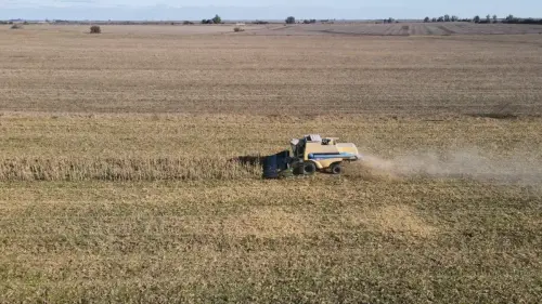 40 hectareas agricolas en larroque - santiago badaraco propiedades - venta de campos en entre rios (21)