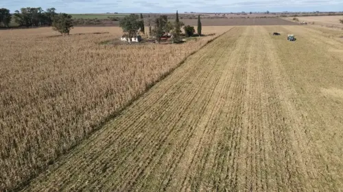 40 hectareas agricolas en larroque - santiago badaraco propiedades - venta de campos en entre rios (22)