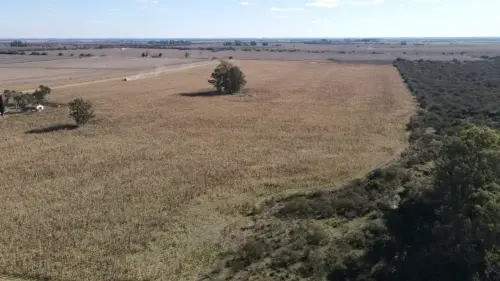 40 hectareas agricolas en larroque - santiago badaraco propiedades - venta de campos en entre rios (3)