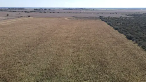 40 hectareas agricolas en larroque - santiago badaraco propiedades - venta de campos en entre rios (4)