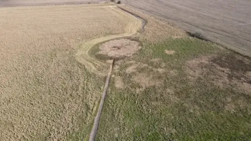 40 hectareas agricolas en larroque - santiago badaraco propiedades - venta de campos en entre rios (5)