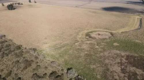 40 hectareas agricolas en larroque - santiago badaraco propiedades - venta de campos en entre rios (7)