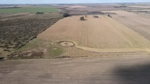 40 hectareas agricolas en larroque - santiago badaraco propiedades - venta de campos en entre rios (8)