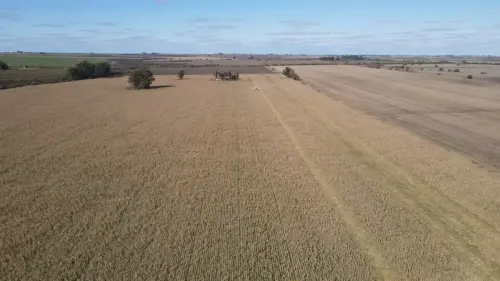 40 hectareas agricolas en larroque - santiago badaraco propiedades - venta de campos en entre rios (9)