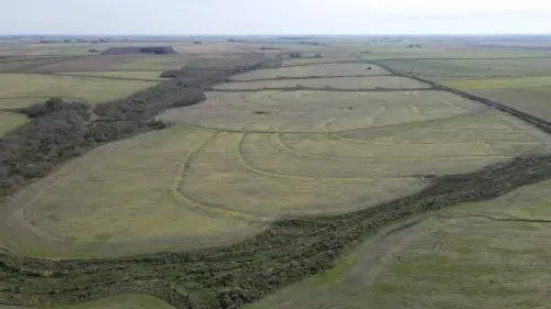 campo en venta de 500 Hectáreas agrícolas en San Salvador-Jubileo-Entre Ríos-santiago badaracco propiedades (10)