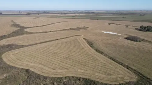 campo en venta de 500 Hectáreas agrícolas en San Salvador-Jubileo-Entre Ríos-santiago badaracco propiedades (11)