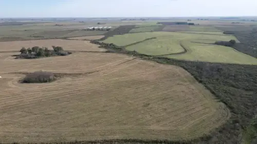 campo en venta de 500 Hectáreas agrícolas en San Salvador-Jubileo-Entre Ríos-santiago badaracco propiedades (12)