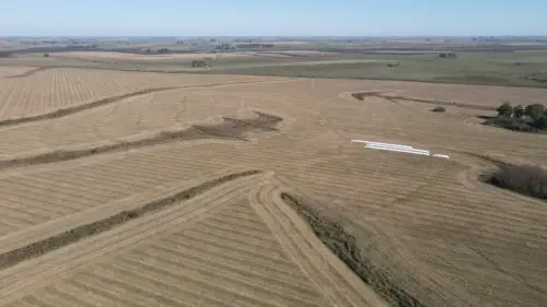 campo en venta de 500 Hectáreas agrícolas en San Salvador-Jubileo-Entre Ríos-santiago badaracco propiedades (13)