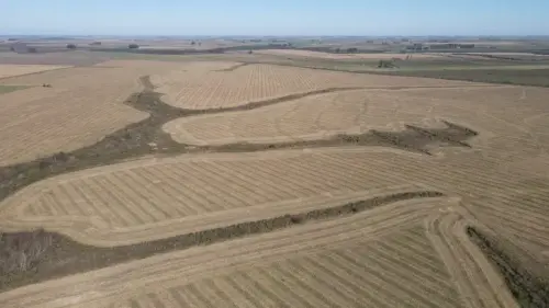 campo en venta de 500 Hectáreas agrícolas en San Salvador-Jubileo-Entre Ríos-santiago badaracco propiedades (14)