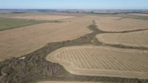 campo en venta de 500 Hectáreas agrícolas en San Salvador-Jubileo-Entre Ríos-santiago badaracco propiedades (15)