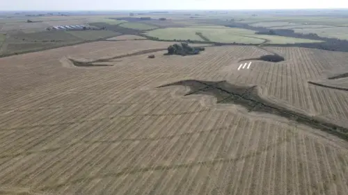 campo en venta de 500 Hectáreas agrícolas en San Salvador-Jubileo-Entre Ríos-santiago badaracco propiedades (17)