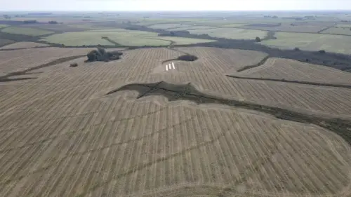 campo en venta de 500 Hectáreas agrícolas en San Salvador-Jubileo-Entre Ríos-santiago badaracco propiedades (18)