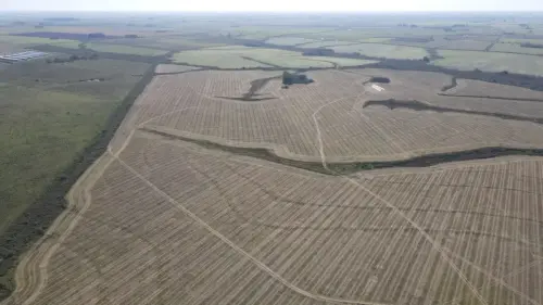 campo en venta de 500 Hectáreas agrícolas en San Salvador-Jubileo-Entre Ríos-santiago badaracco propiedades (19)