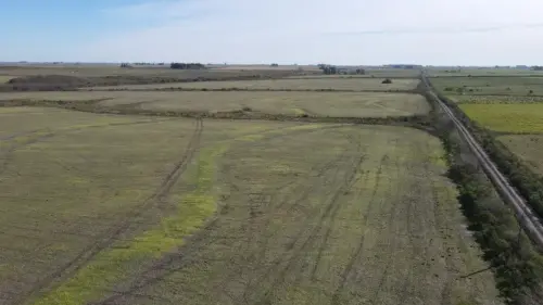 campo en venta de 500 Hectáreas agrícolas en San Salvador-Jubileo-Entre Ríos-santiago badaracco propiedades (2)