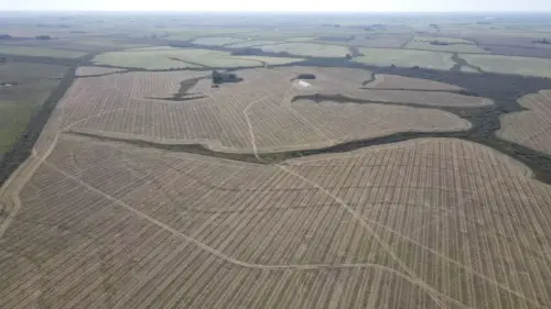 campo en venta de 500 Hectáreas agrícolas en San Salvador-Jubileo-Entre Ríos-santiago badaracco propiedades (20)