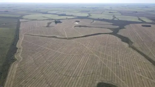 campo en venta de 500 Hectáreas agrícolas en San Salvador-Jubileo-Entre Ríos-santiago badaracco propiedades (21)