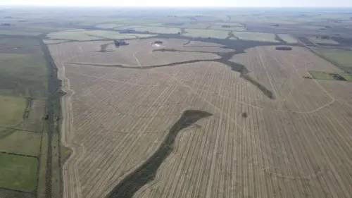 campo en venta de 500 Hectáreas agrícolas en San Salvador-Jubileo-Entre Ríos-santiago badaracco propiedades (23)