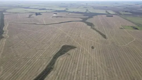 campo en venta de 500 Hectáreas agrícolas en San Salvador-Jubileo-Entre Ríos-santiago badaracco propiedades (25)