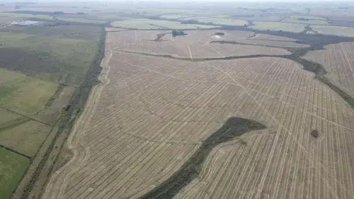 campo en venta de 500 Hectáreas agrícolas en San Salvador-Jubileo-Entre Ríos-santiago badaracco propiedades (26)