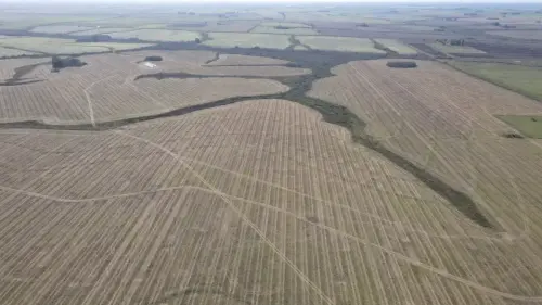 campo en venta de 500 Hectáreas agrícolas en San Salvador-Jubileo-Entre Ríos-santiago badaracco propiedades (27)