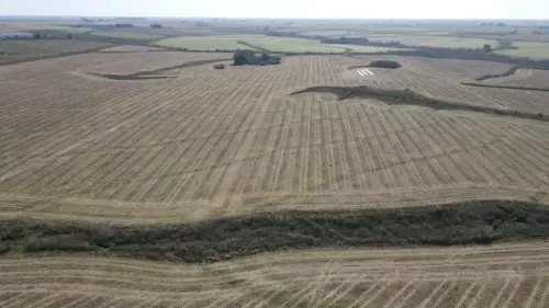 campo en venta de 500 Hectáreas agrícolas en San Salvador-Jubileo-Entre Ríos-santiago badaracco propiedades (33)