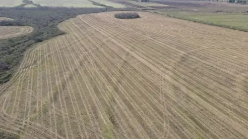 campo en venta de 500 Hectáreas agrícolas en San Salvador-Jubileo-Entre Ríos-santiago badaracco propiedades (34)