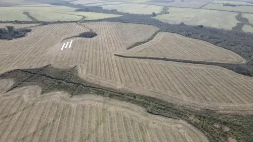 campo en venta de 500 Hectáreas agrícolas en San Salvador-Jubileo-Entre Ríos-santiago badaracco propiedades (35)