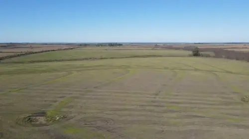 campo en venta de 500 Hectáreas agrícolas en San Salvador-Jubileo-Entre Ríos-santiago badaracco propiedades (36)