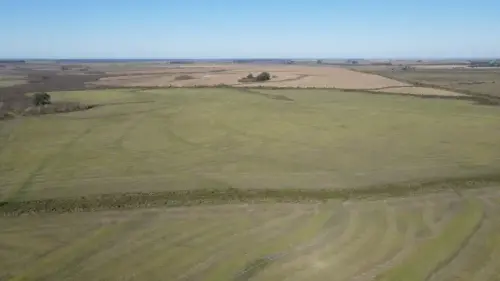 campo en venta de 500 Hectáreas agrícolas en San Salvador-Jubileo-Entre Ríos-santiago badaracco propiedades (39)