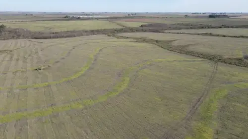 campo en venta de 500 Hectáreas agrícolas en San Salvador-Jubileo-Entre Ríos-santiago badaracco propiedades (4)