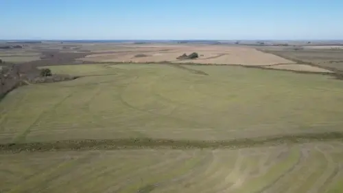 campo en venta de 500 Hectáreas agrícolas en San Salvador-Jubileo-Entre Ríos-santiago badaracco propiedades (40)